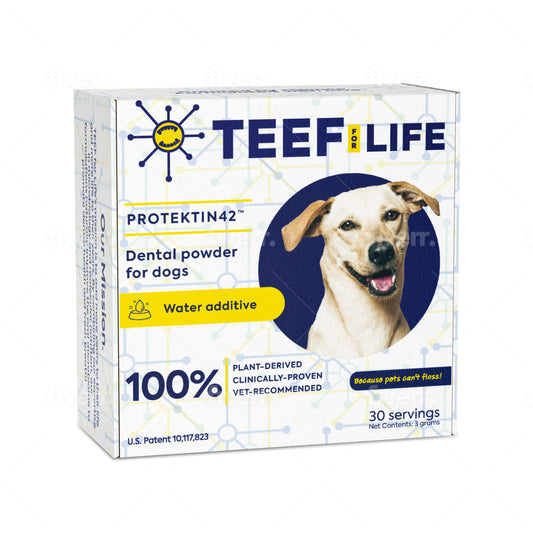 TEEF for Life - Protektin42™ Dental Kit: Powder water additive for dogs (Refillable)