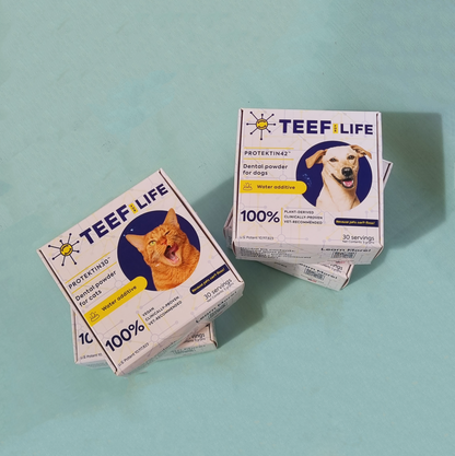 TEEF for Life - Protektin42™ Dental Kit: Powder water additive for dogs (Refillable)