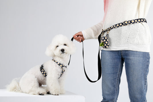 NORADOG H Harness - Daisy