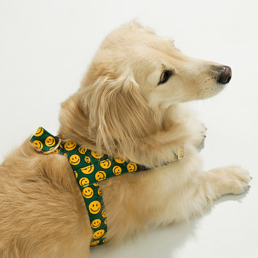 NORADOG Easy Harness - Charlie Smile