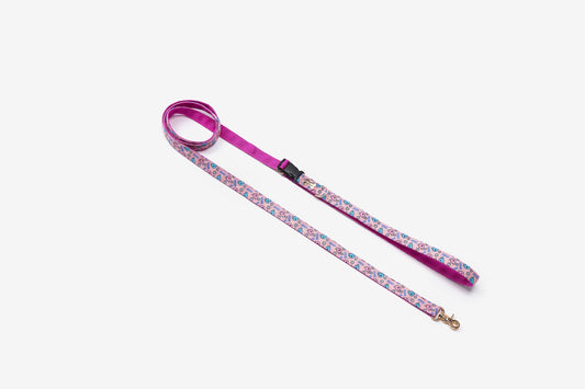 NORADOG Hands Free Belt Leash (Under 7kg)