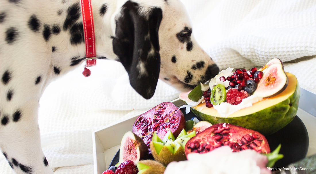 Can Dogs Eat Fruit? What You Need to Know About Dog-Friendly Fruits