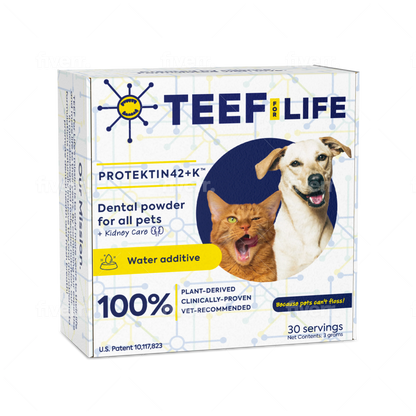 TEEF for Life - Protektin42+K Dental Kit Kidney Care For Dogs & Cats (Refillable)