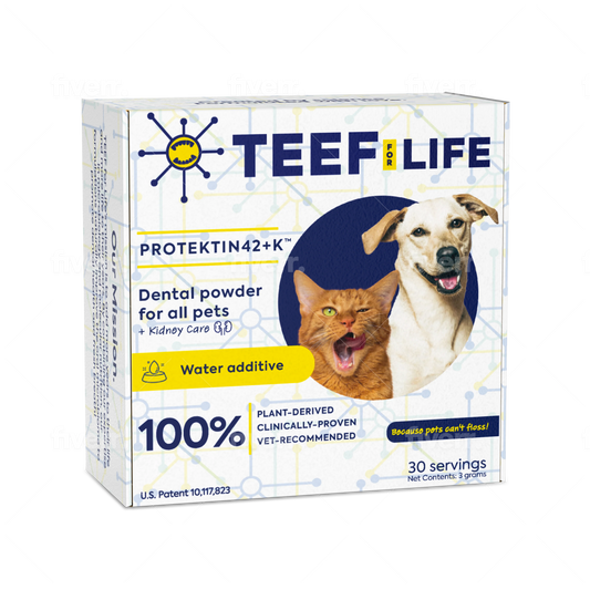 TEEF for Life - Protektin42+K Dental Kit Kidney Care For Dogs & Cats (Refillable)