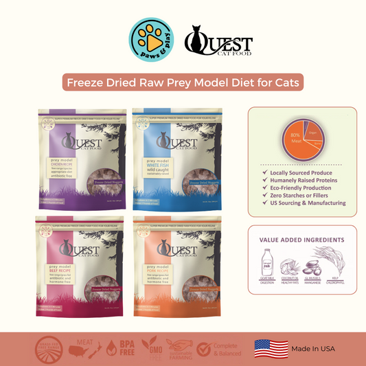 [BUNDLE DEAL] Quest Prey Model Cat Food Freeze Dried Bite Size Nuggets 10oz x 3 (Beef/Pork/Chicken/Fish)