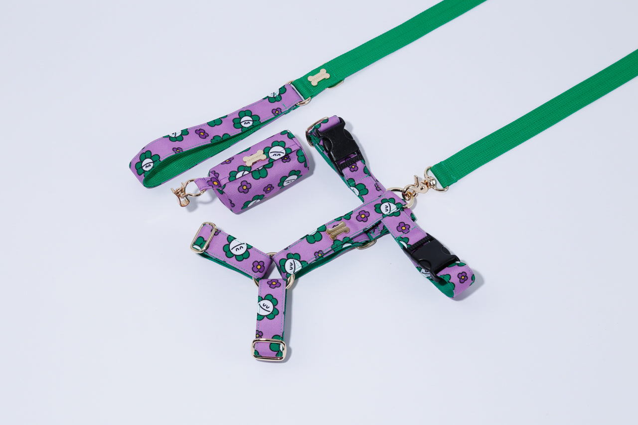 NORADOG H Harness - Mr Clover