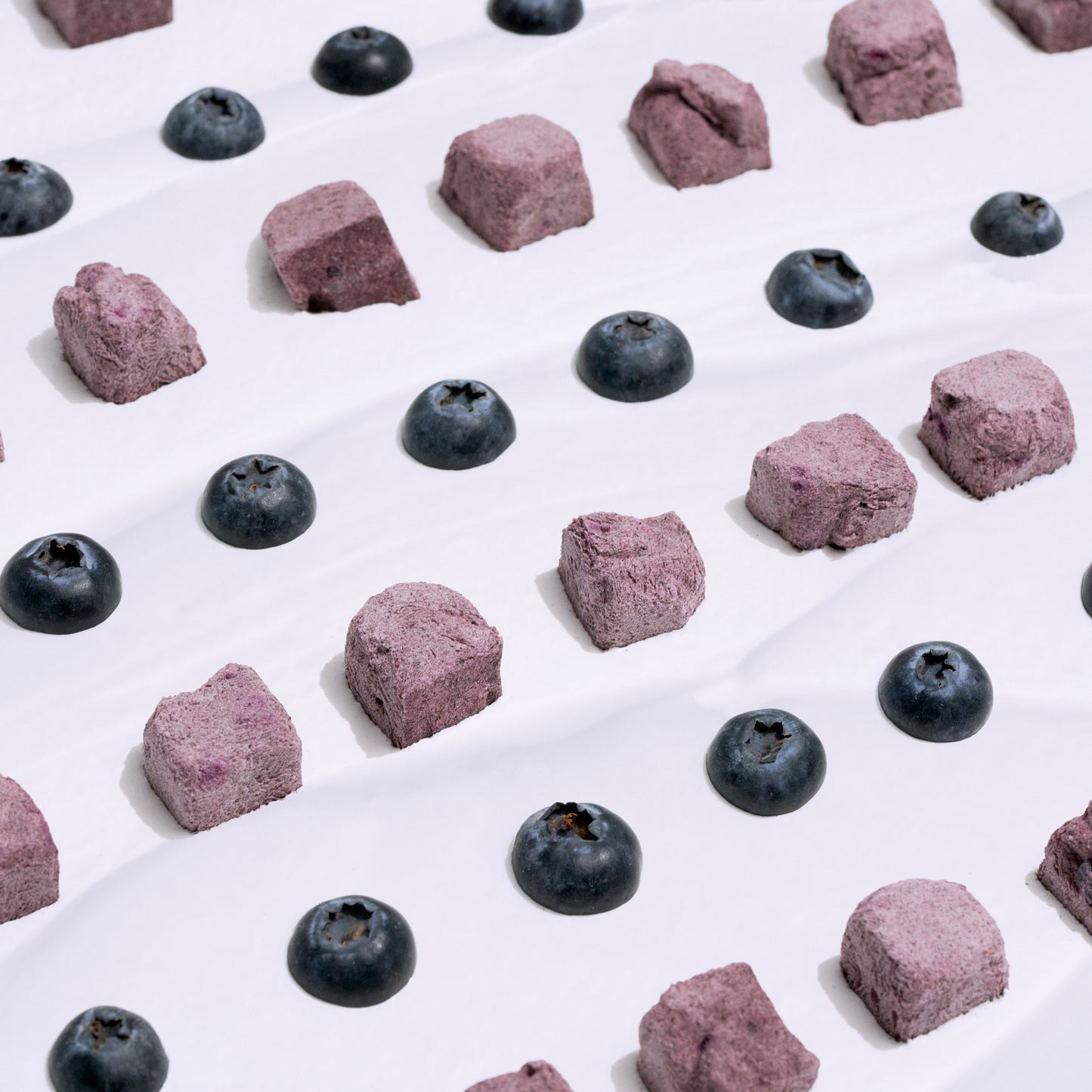 Wagging Bum Anytime Yogurt Freeze Dried Dog & Cat Treat - Blueberry