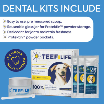 TEEF for Life - Protektin30™  Dental Kit: Powder water additive for cats (Refillable)