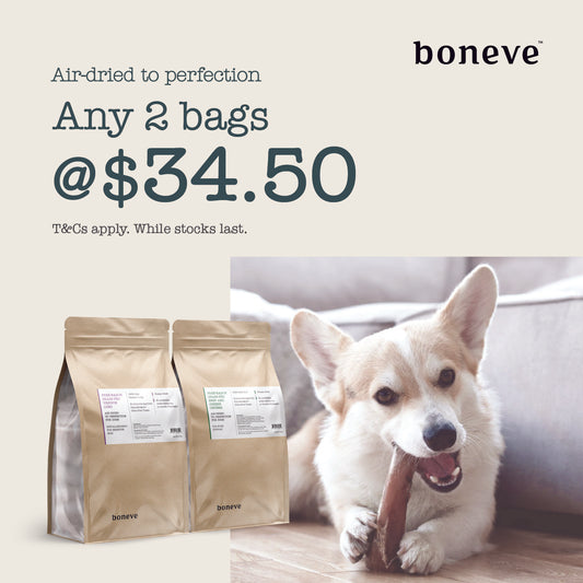 [BUNDLE DEAL] Boneve Earthmade Dog Treats 150g - Mix & Match