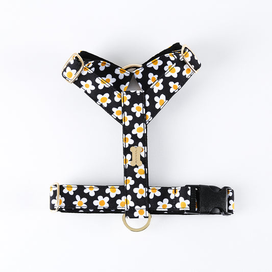 NORADOG H Harness - Daisy