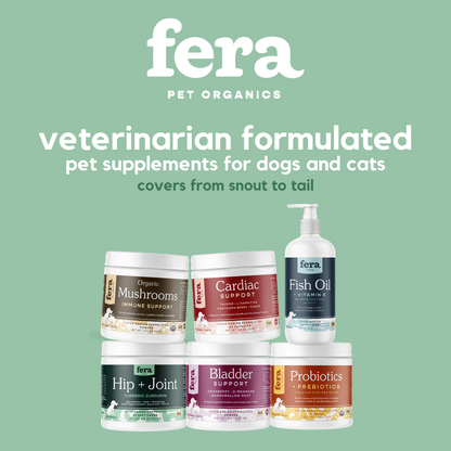 Fera Pets Organic Mushroom Immune Support Supplement For Dogs & Cats (120 servings, powder) 2.12oz