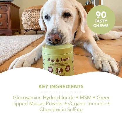 Natural Dog Company Hip & Joint Supplement (90 Chews)