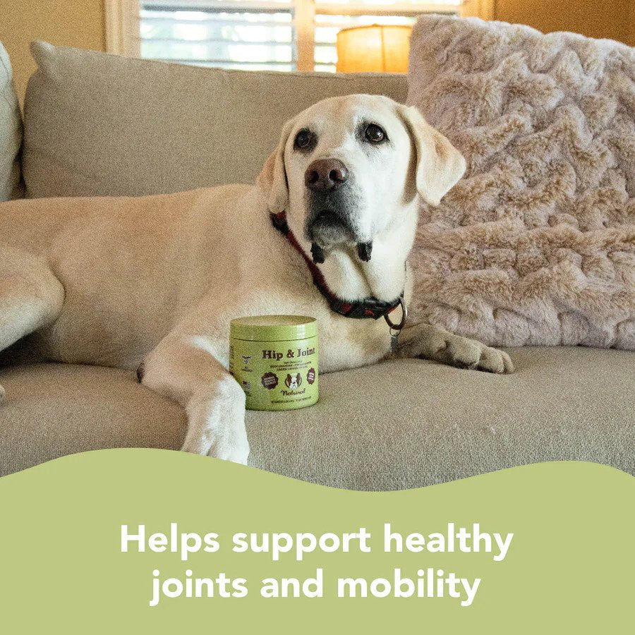 Natural Dog Company Hip & Joint Supplement (90 Chews)