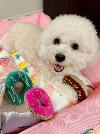 Pawty Dog Toys Pawty's Donuts Interactive Toy