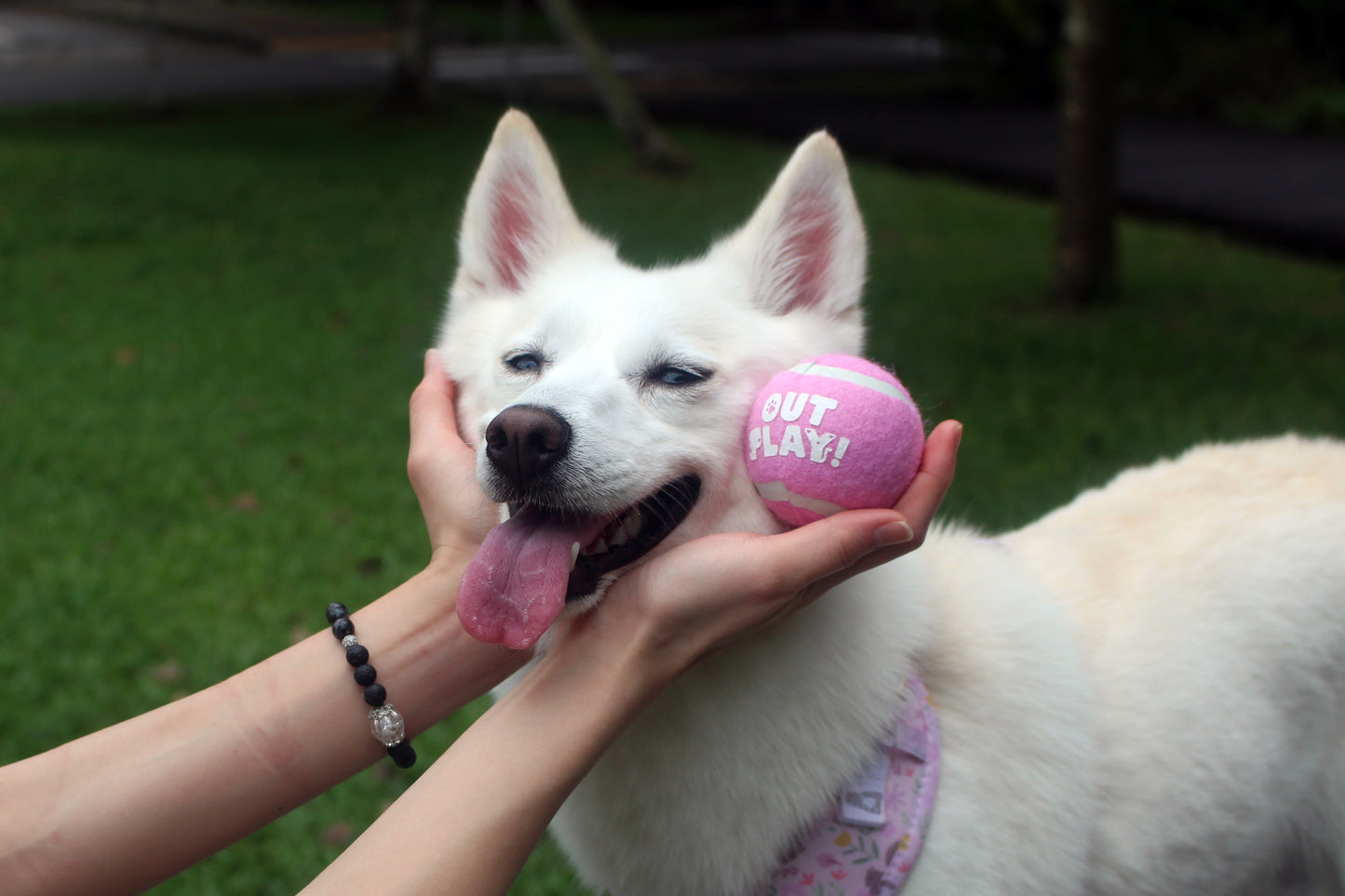 OutPlay Tennis Balls (Bundle of 3)