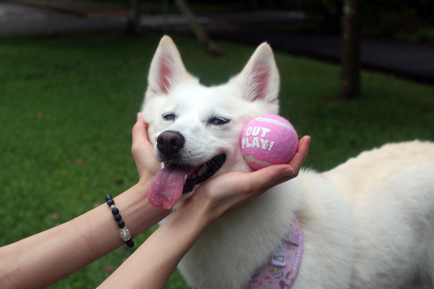 OutPlay Tennis Balls - Pink