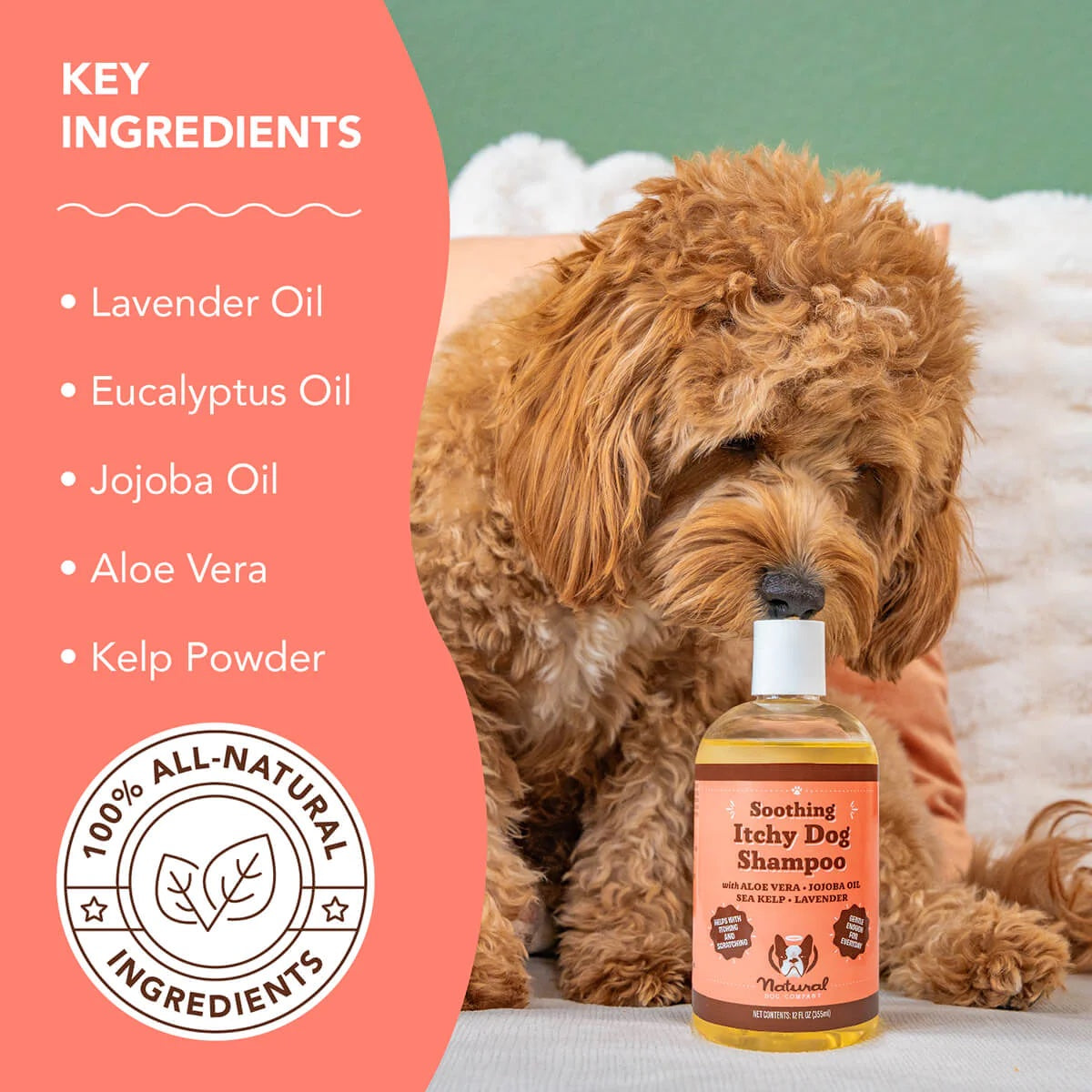 Natural Dog Company Itchy Dog 12oz Liquid Shampoo