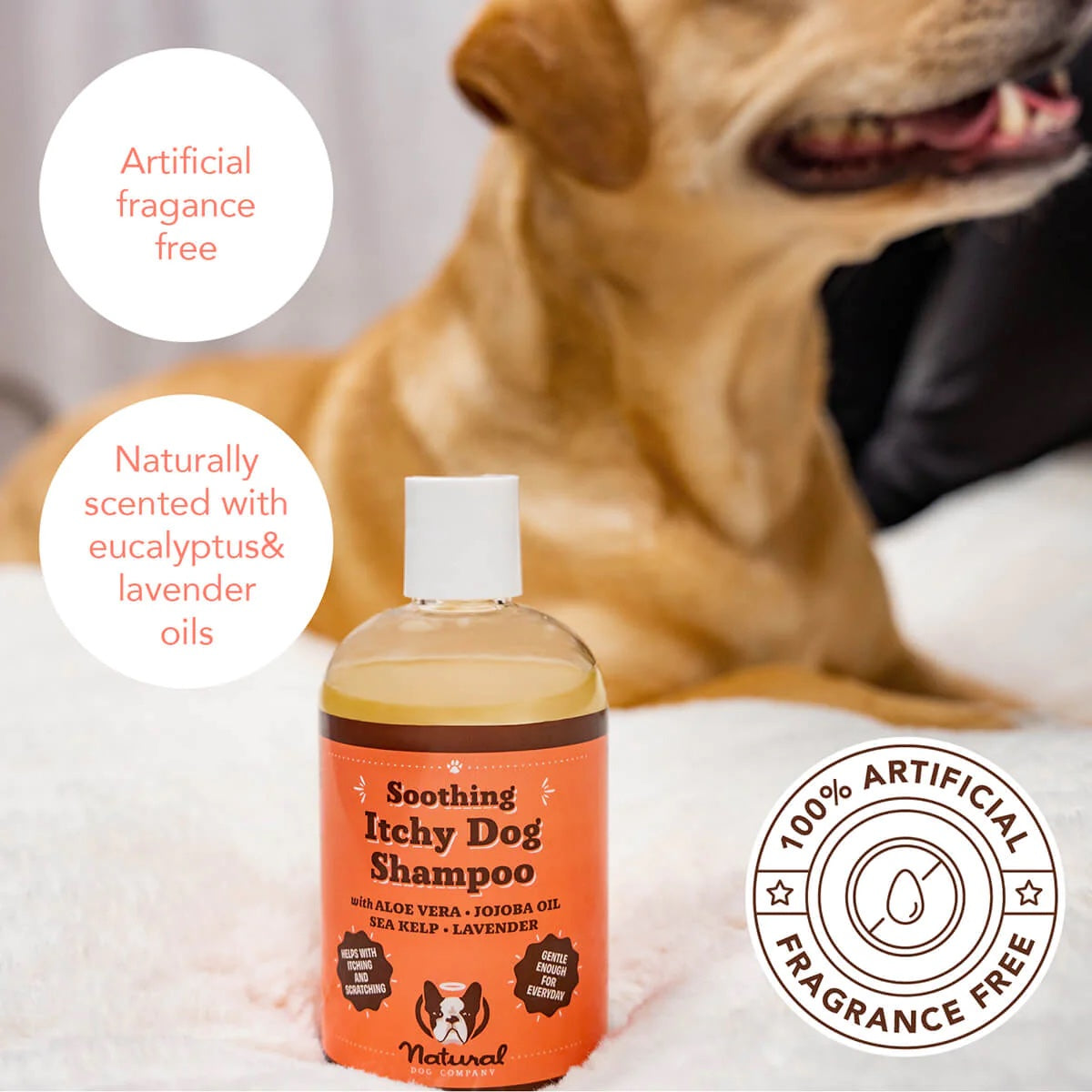 Natural Dog Company Itchy Dog 12oz Liquid Shampoo