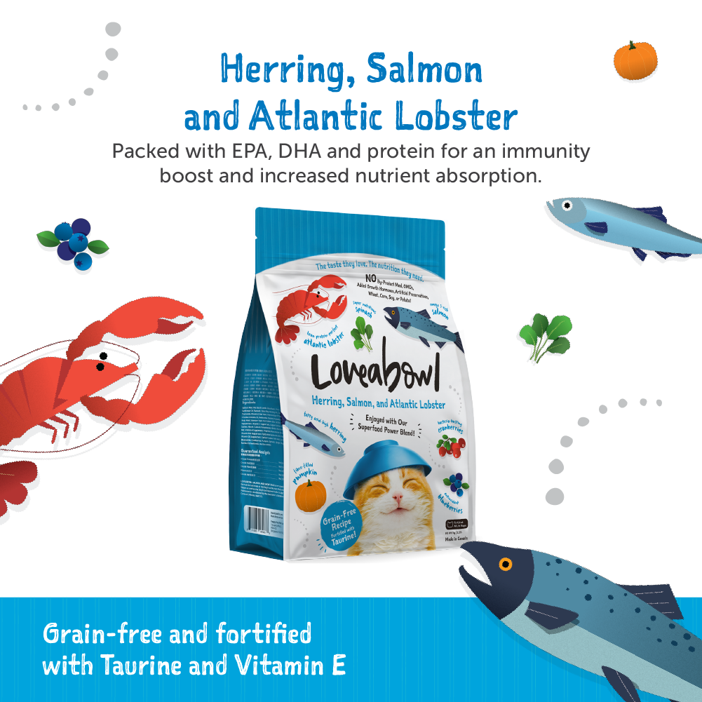 Loveabowl Herring, Salmon and Atlantic Lobster Cat Dry Food (3 Sizes)