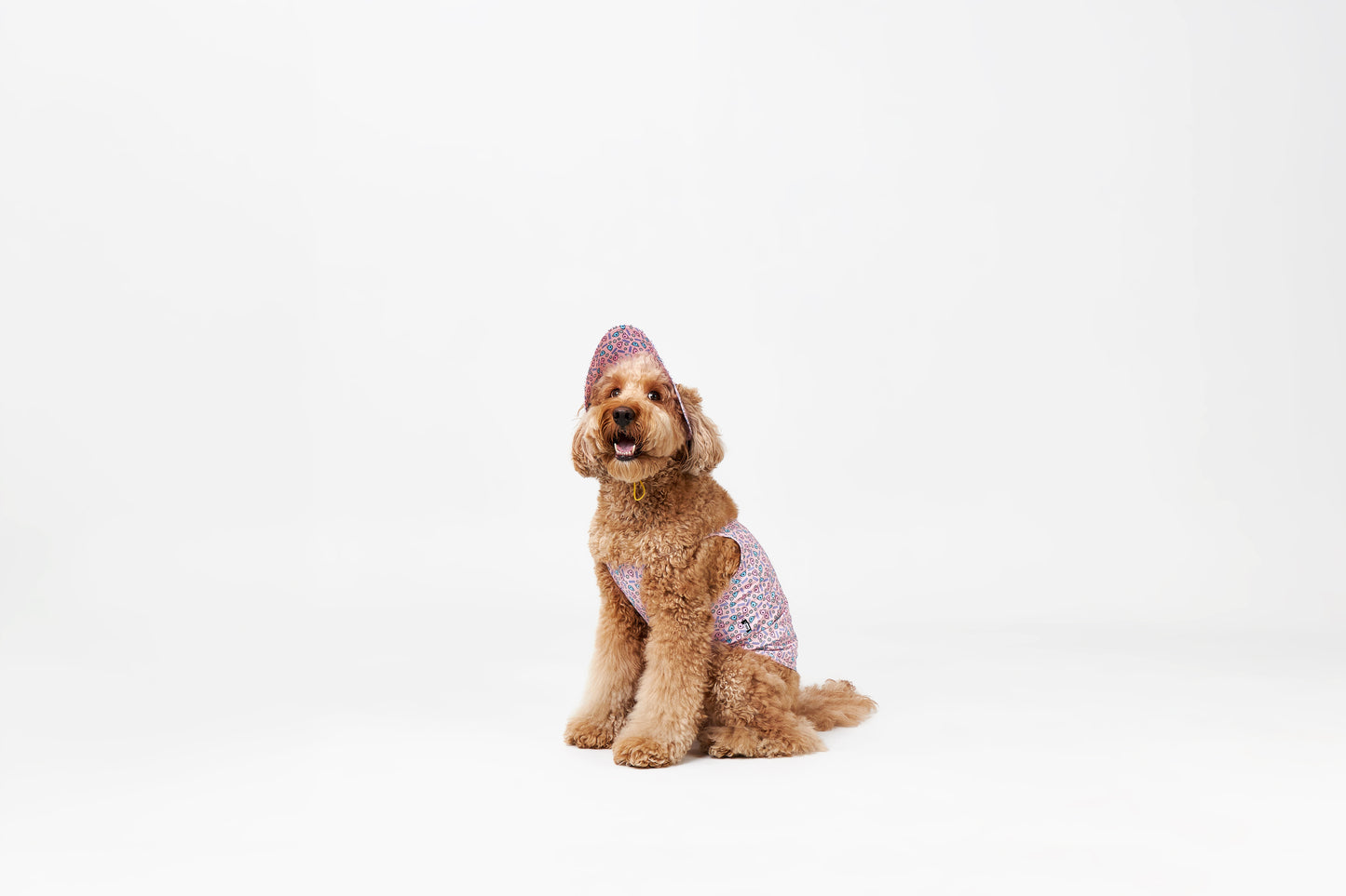 NORADOG Bucket Hat for Dogs (S - 2XL)