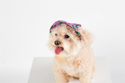 NORADOG Bucket Hat for Dogs (S - 2XL)