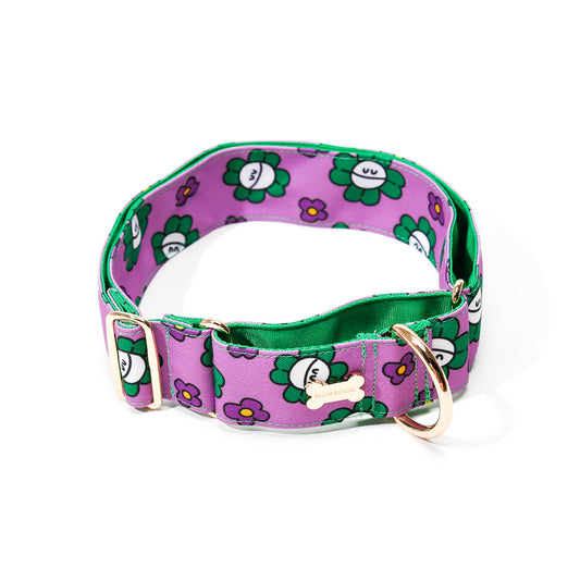 NORADOG Martingale Collar - Mr Clover