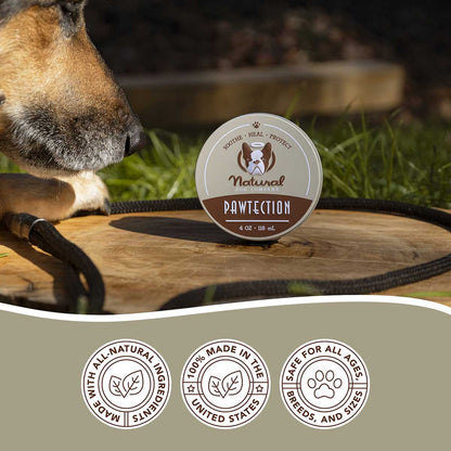 Natural Dog Company Pawtection Organic Healing Balm (4 Sizes)