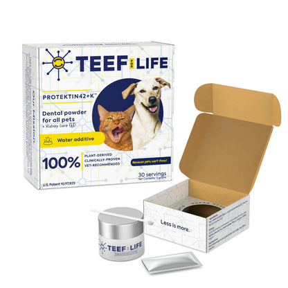 TEEF for Life - Protektin42+K Dental Kit Kidney Care For Dogs & Cats (Refillable)