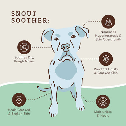 Natural Dog Company Snout Soother Organic Healing Balm (4 Sizes)