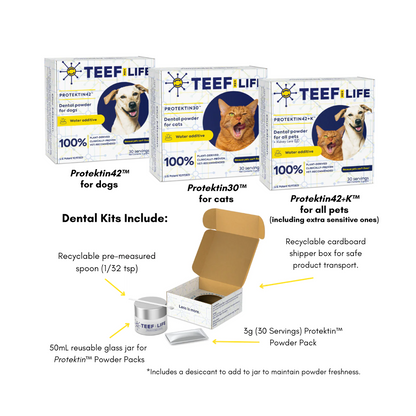 TEEF for Life - Protektin30™  Dental Kit: Powder water additive for cats (Refillable)