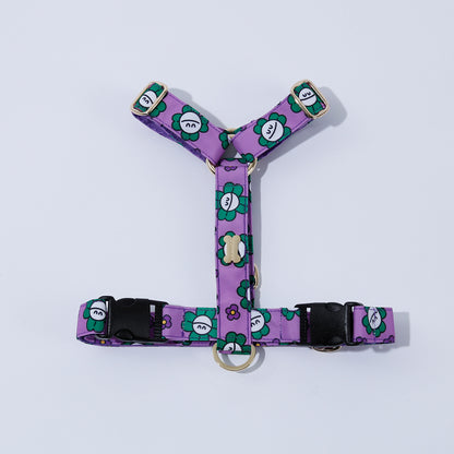 NORADOG H Harness - Mr Clover