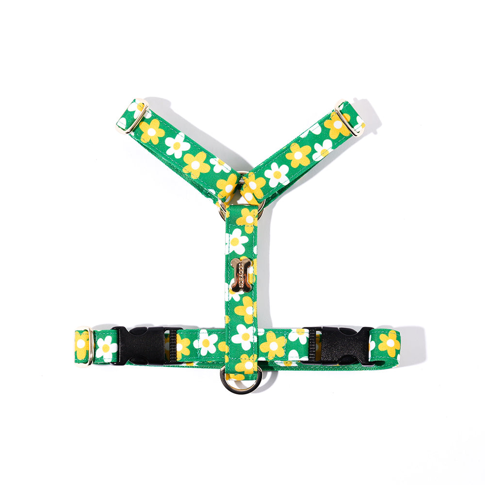 NORADOG H Harness - Picnic (Green)