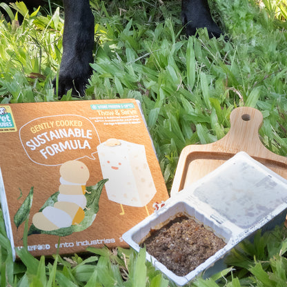 Pet Cubes Gently Cooked Dog Food - Sustainable Formula (2 Sizes)