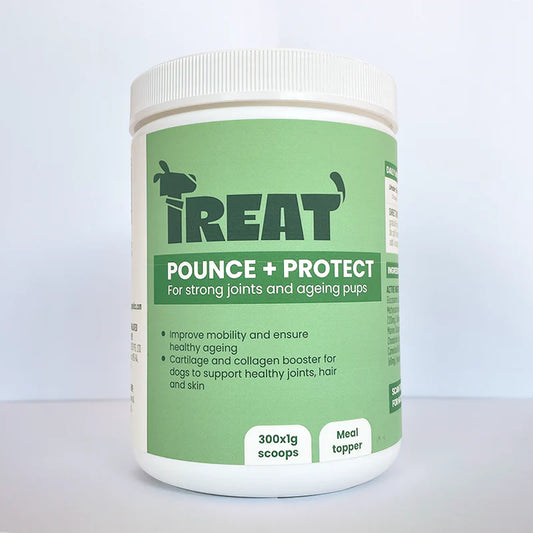 Treat Pounce + Protect Supplement