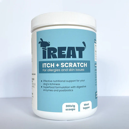 Treat Itch + Scratch Supplement