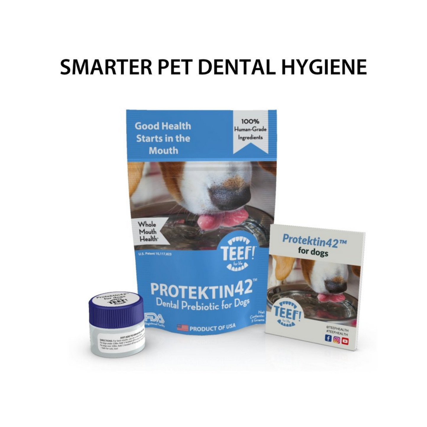 [Old Version] TEEF for Life - Protektin42™ Dental Kit: Powder water additive for dogs
