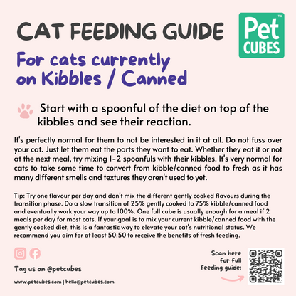 PetCubes Gently Cooked Cat Food - Beef (2 Sizes)