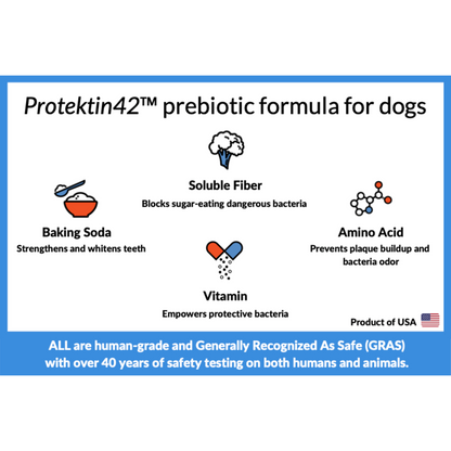 [Old Version] TEEF for Life - Protektin42™ Dental Kit: Powder water additive for dogs