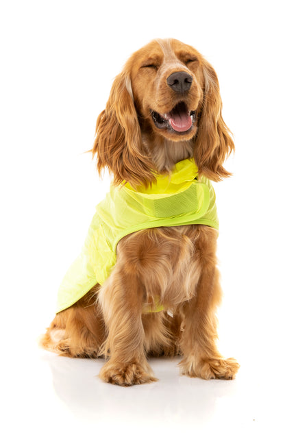 FuzzYard Osaka Raincoat For Dogs, Fluro Yellow (7 Sizes)