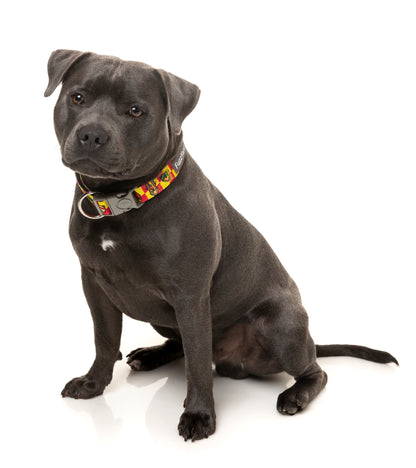 FuzzYard Dog Collar - Doggoforce (3 Sizes)