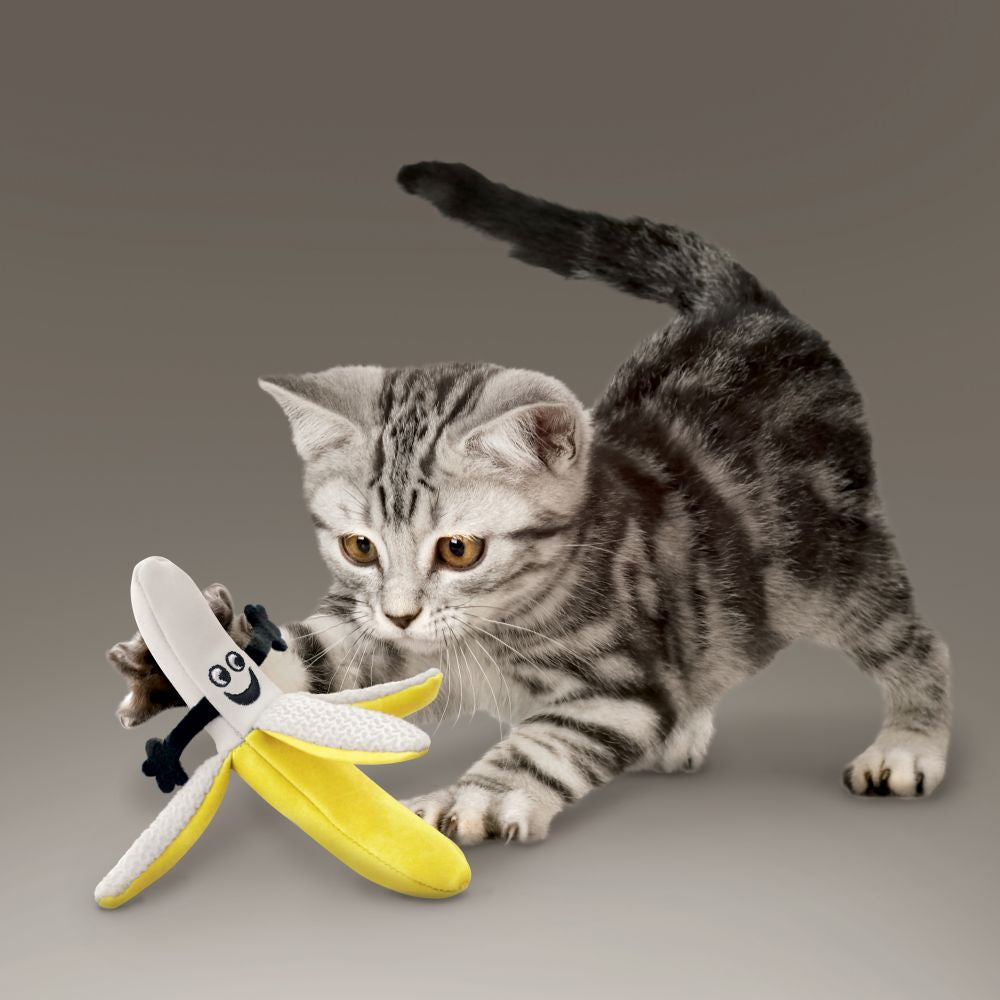 KONG Cat Better Buzz - Banana