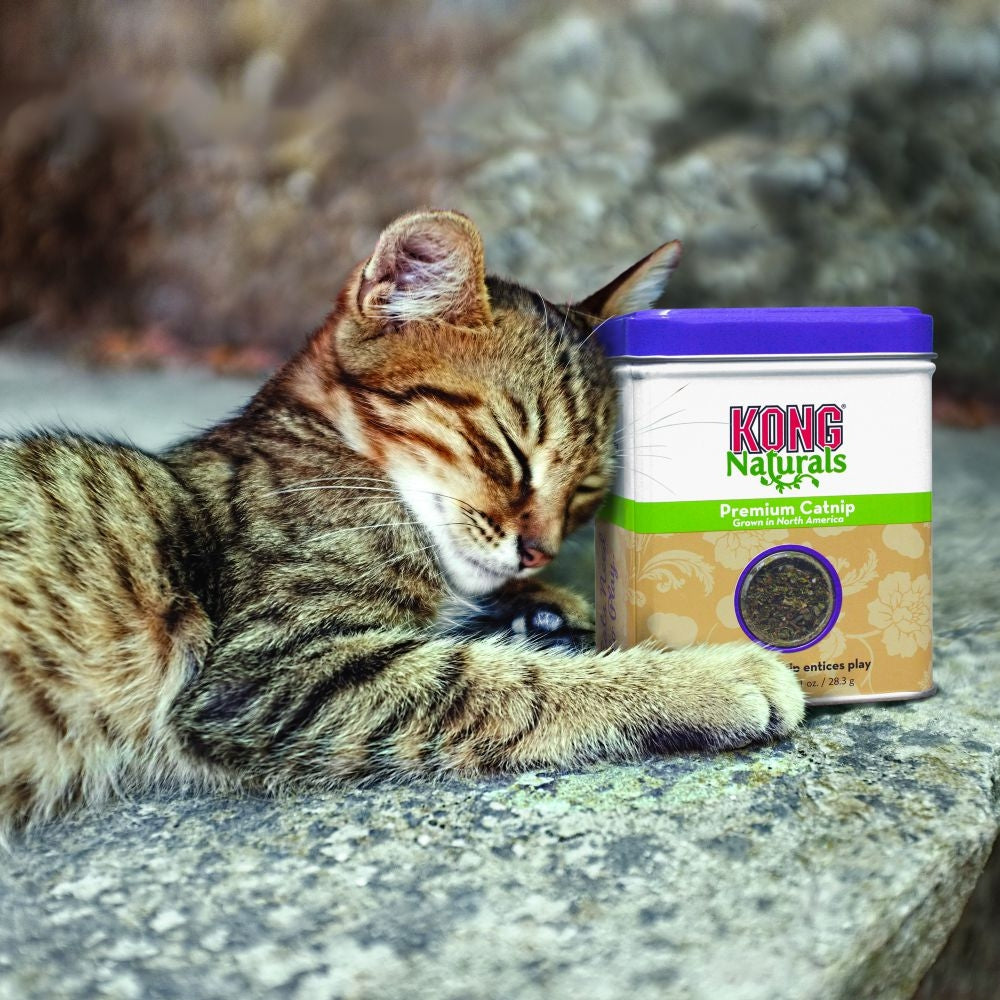 KONG Naturals Cat Premium Catnip (2 Sizes)