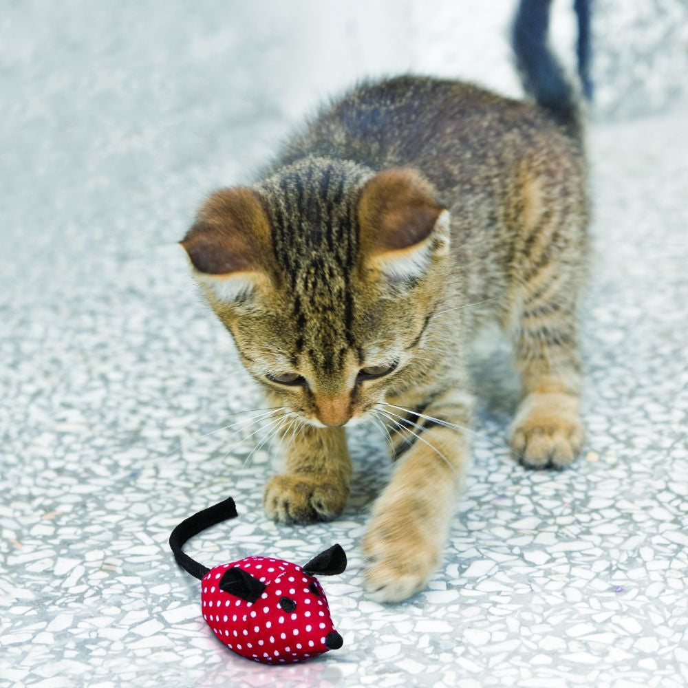 KONG Cat Softies - Mice 2 pcs (Assorted)