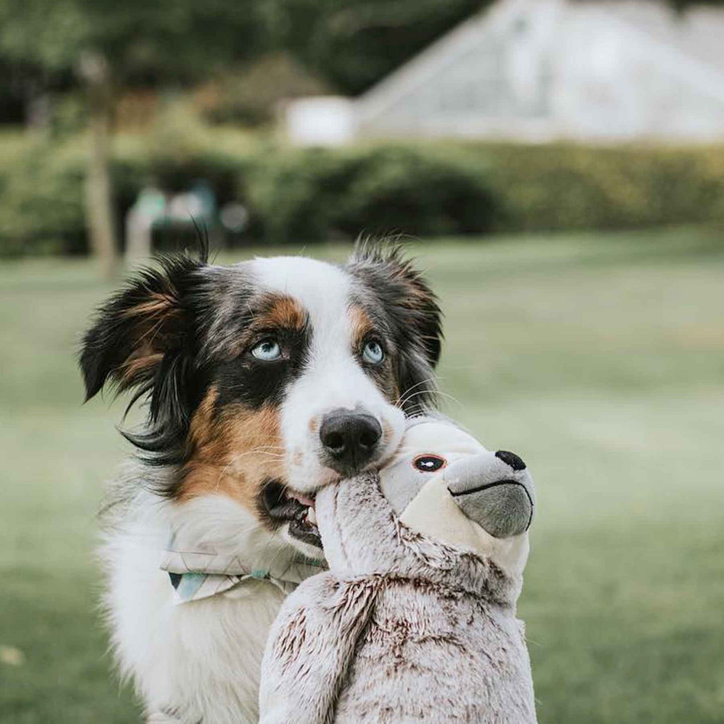 Nandog My Bff Sloth Super Soft Luxe Plush Squeaker Toy