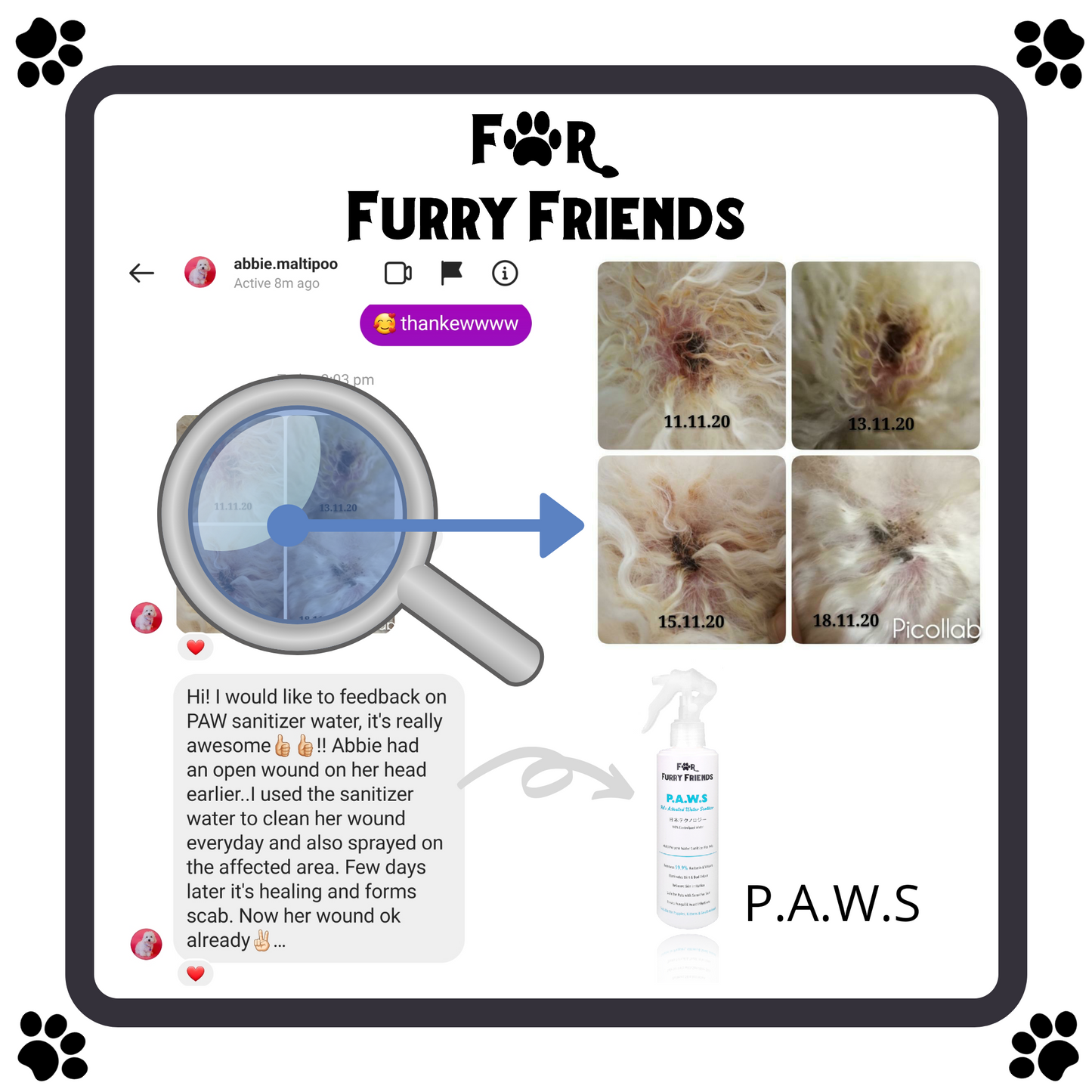 For Furry Friends Pet's Activated Water Sanitizer (P.A.W.S)