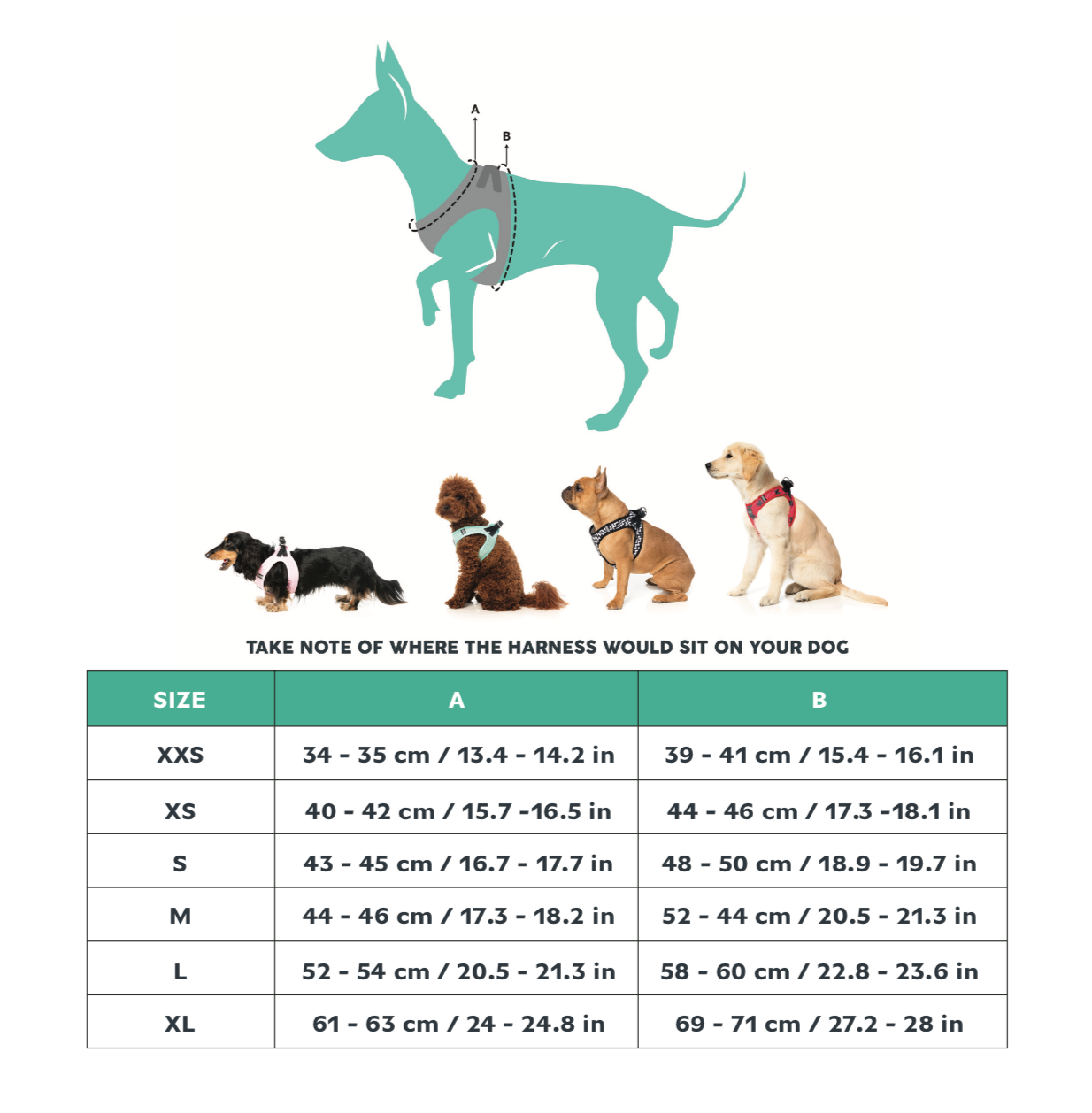 Fuzzyard harness online