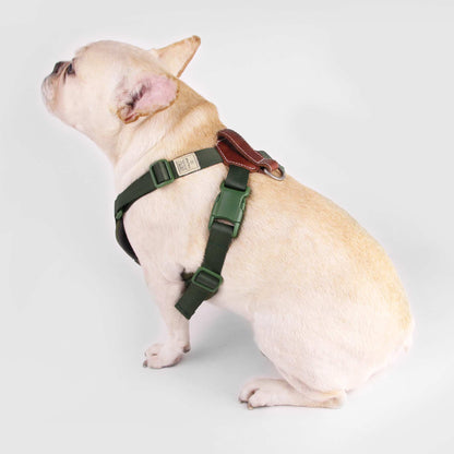 Sputnik Comfort Dog Harness Green (4 Sizes)