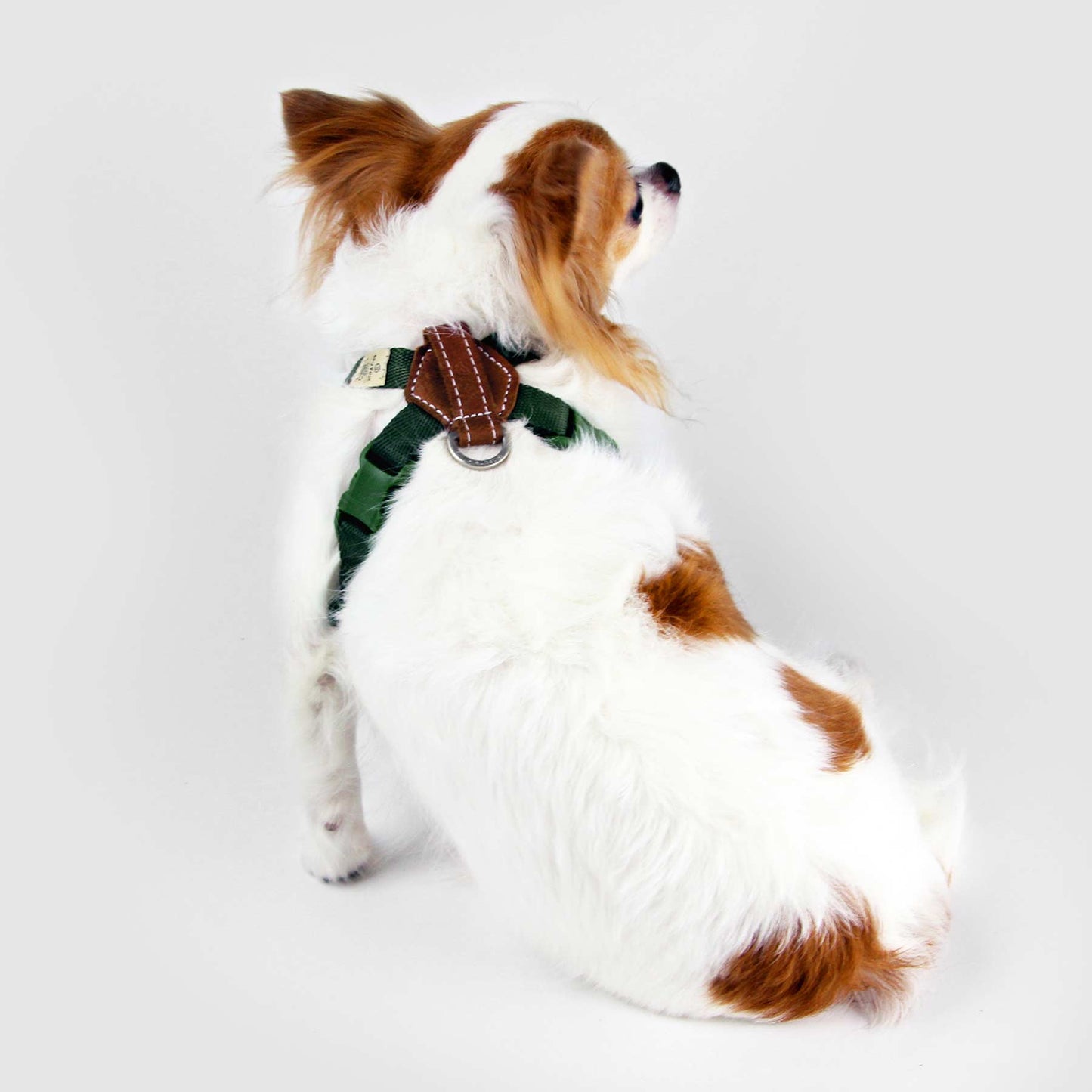 Sputnik Comfort Dog Harness Green (4 Sizes)